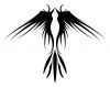 tribal bird pics tattoo